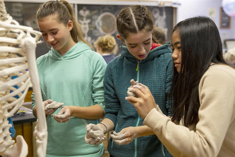 Winterberry Charter School students work with clay as they model parts of the skeleton 